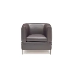 Natuzzi Anteprima-nojatuoli