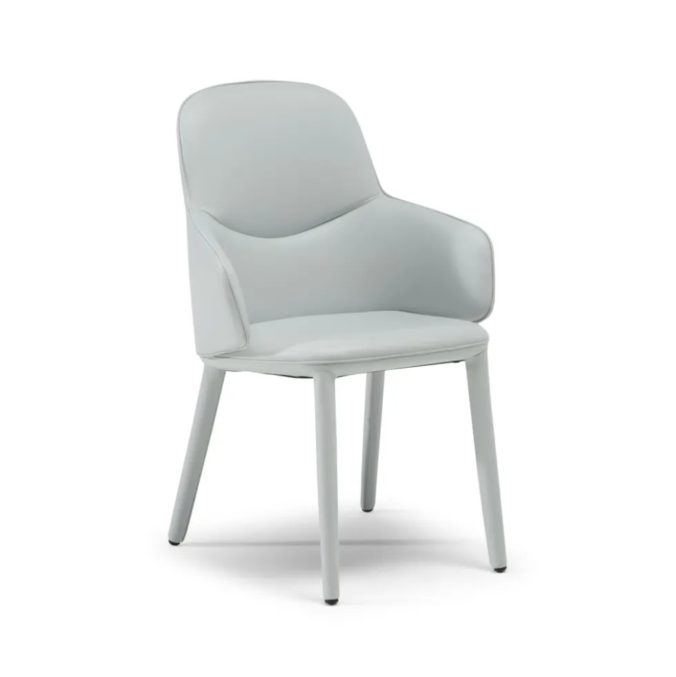 Natuzzi Edgar-käsinojatuoli