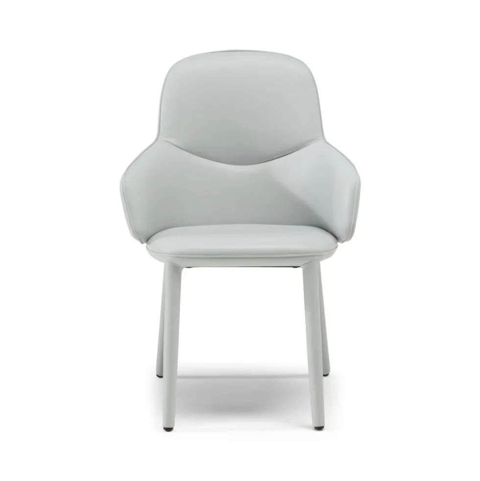 Natuzzi Edgar-käsinojatuoli